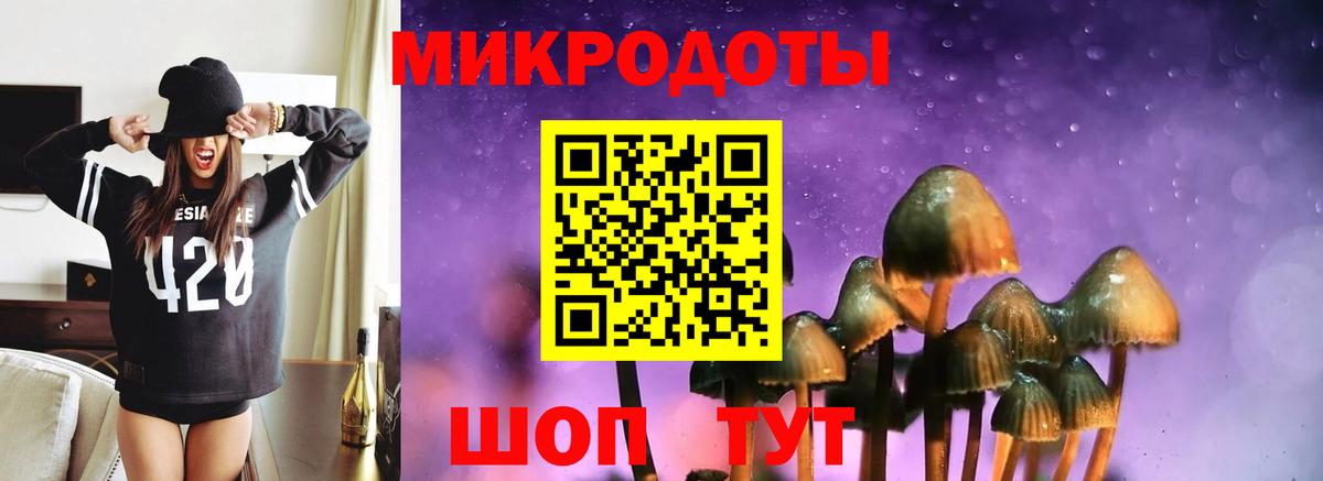 Галлюциногенные грибы мухоморы Гудермес