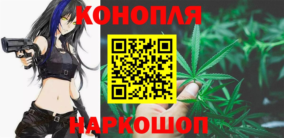 Бошки Шишки планчик Гудермес